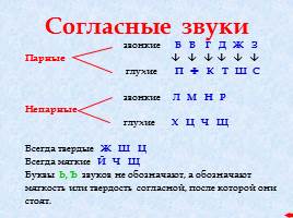 Справочник по русскому языку, слайд 6