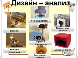 Проект «Кошкин дом», слайд 6