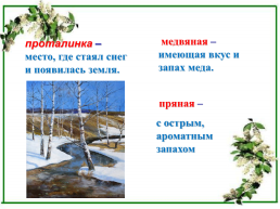 Сергей Александрович Есенин «Черёмуха», слайд 10
