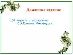 Сергей Александрович Есенин «Черёмуха», слайд 13