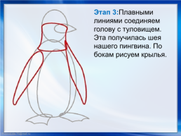 Пингвин. Поэтапное рисование, слайд 6