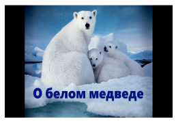 Конспект занятия по изобразительной деятельности с элементами аппликации в подготовительной группе «Полярный медведь», слайд 9