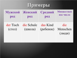 Правила употребления определенного и неопределенного артикля, слайд 5