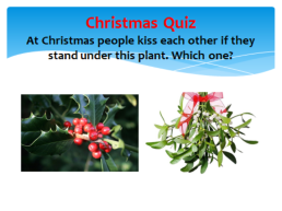 Christmas quiz, слайд 7