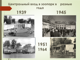 История улицы. Большая Грузинская через историю зоопарка, слайд 11