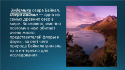 Эндемики Байкала, слайд 3