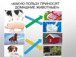 Домашние животные и их детёныши, слайд 14