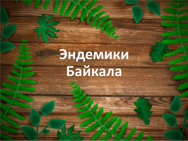 Эндемики Байкала