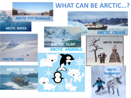 Arctic circle animals, слайд 3