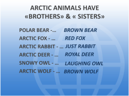 Arctic circle animals, слайд 5