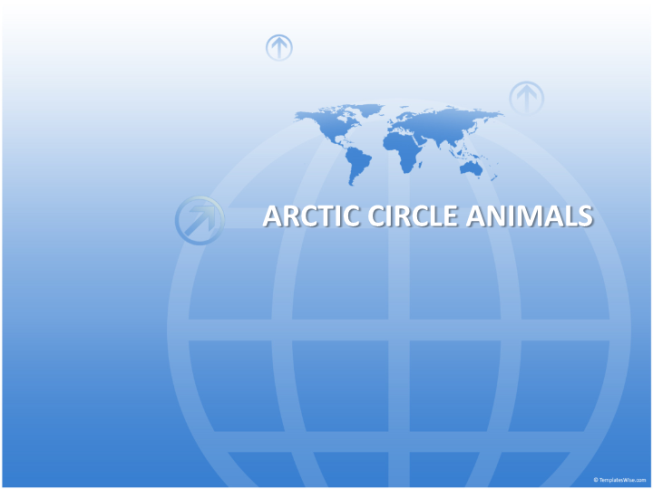 Arctic circle animals