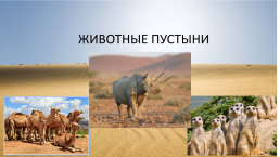 Животные пустыни, слайд 1