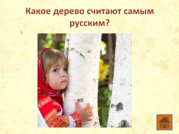 Что ты знаешь о деревьях?, слайд 12