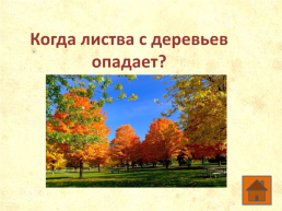 Что ты знаешь о деревьях?, слайд 16