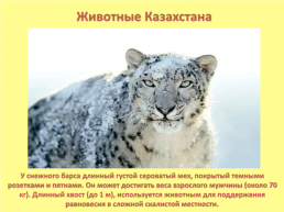 Знакомство с республикой Казахстан, слайд 5