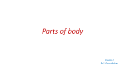 Parts of body