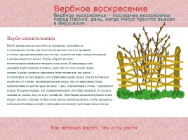 Православные праздники на Руси, слайд 29
