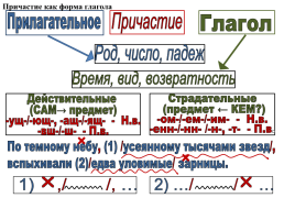 Опорные схемы и алгоритмы на уроках Русского языка в 5-8 классах (по технологии интенсивного обучения В.Ф. Шаталова), слайд 26