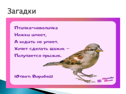 Птицы, слайд 11