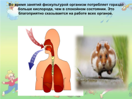 Зачем нужно заниматься физическая культура?, слайд 15