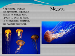 Тайны подводного мира, слайд 13