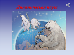 Животные холодных стран, слайд 33