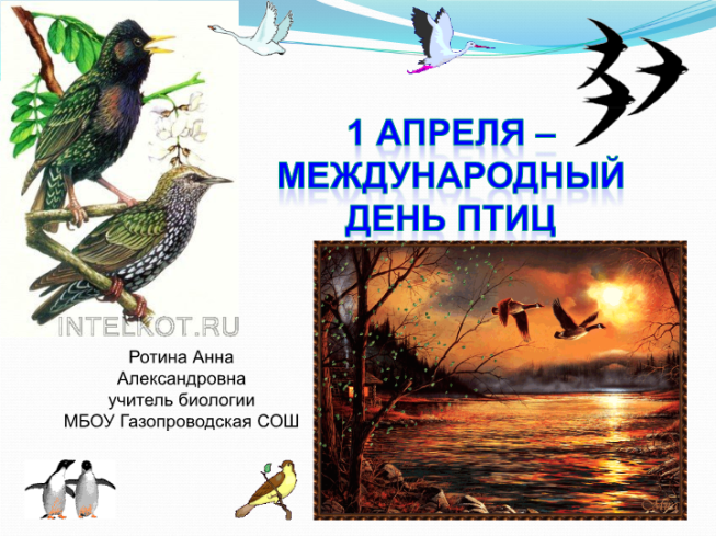 1 Апреля – Международный день птиц.