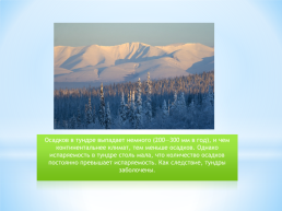 Безлесные природные зоны Арктики Субарктики, слайд 10