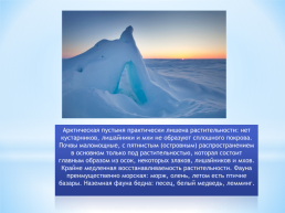 Безлесные природные зоны Арктики Субарктики, слайд 15