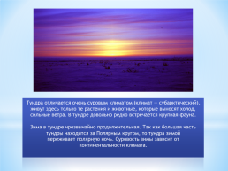 Безлесные природные зоны Арктики Субарктики, слайд 4