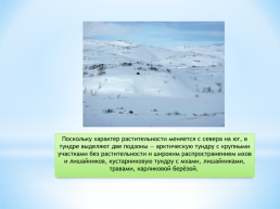 Безлесные природные зоны Арктики Субарктики, слайд 8