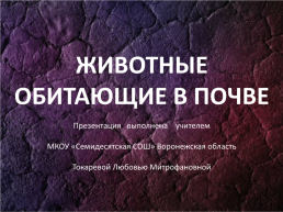 Животные обитающие в почве