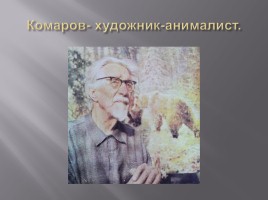 А.Н. Комаров, слайд 2