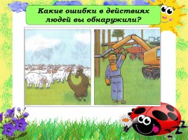 Равновесие в природе, слайд 12