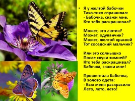 Бабочки, слайд 3