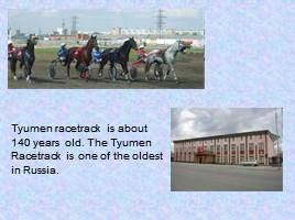 Спорт в Тюмени, слайд 9