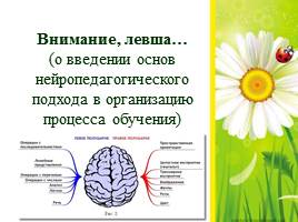 О введении основ нейропедагогического подхода в организацию процесса обучения, слайд 1