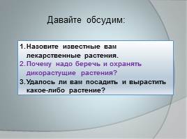 Ботаника - наука о растениях, слайд 13