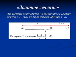 Урок математики в 6 классе по теме «Золотая пропорция», слайд 7