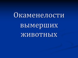 Окаменелости вымерших животных, слайд 1