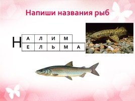 Рыбные богатства, слайд 12
