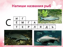 Рыбные богатства, слайд 13