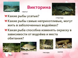 Рыбные богатства, слайд 15