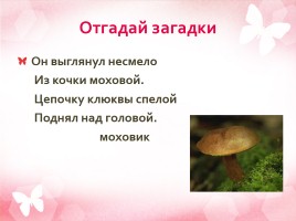 Дары леса - грибы, слайд 5