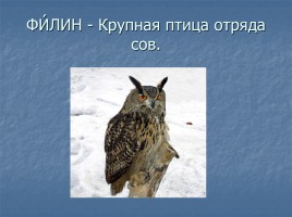 К уроку русского языка в 1 классе, слайд 1