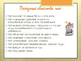 Исследовательская работа «Чай и его влияние на организм человека», слайд 46