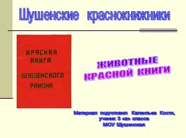 Животные Красной книги Шушенского района, слайд 1
