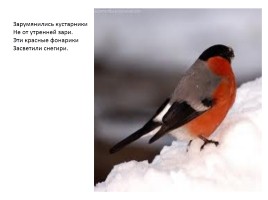 Зимующие птицы, слайд 12