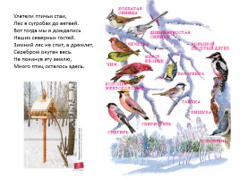 Зимующие птицы, слайд 2