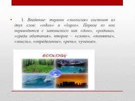 Взаимосвязь русского языка и экологии, слайд 4